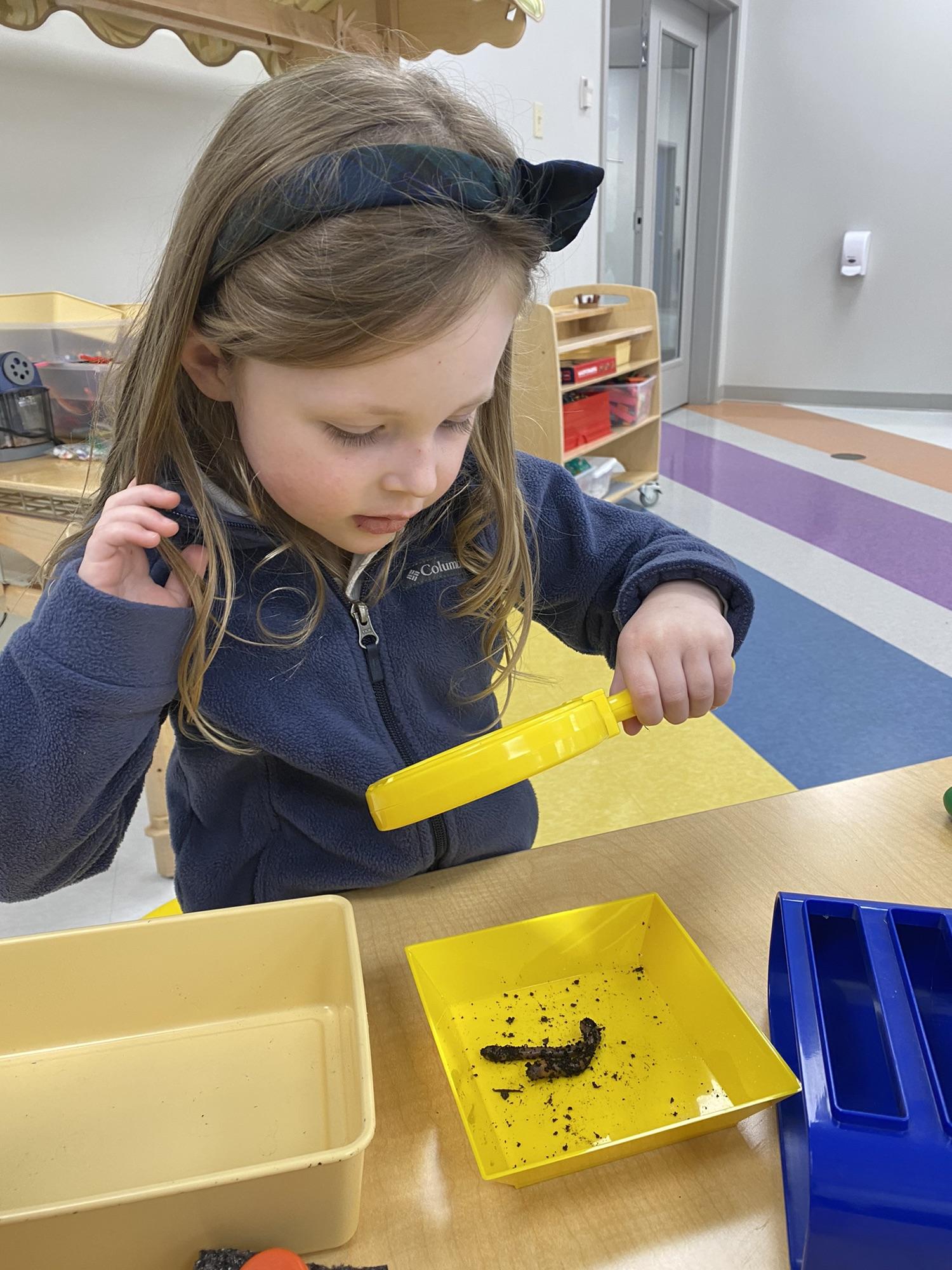 PreK science explorers